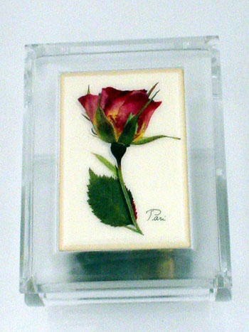 Clear Music Box