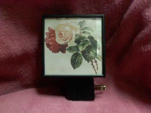 Nightlight - Paul deLongpre Rose