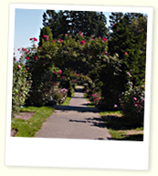 Garden Archway