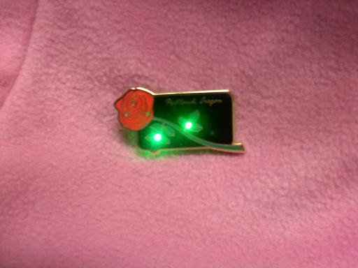 Light Up Pin