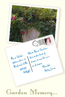Garden Memory